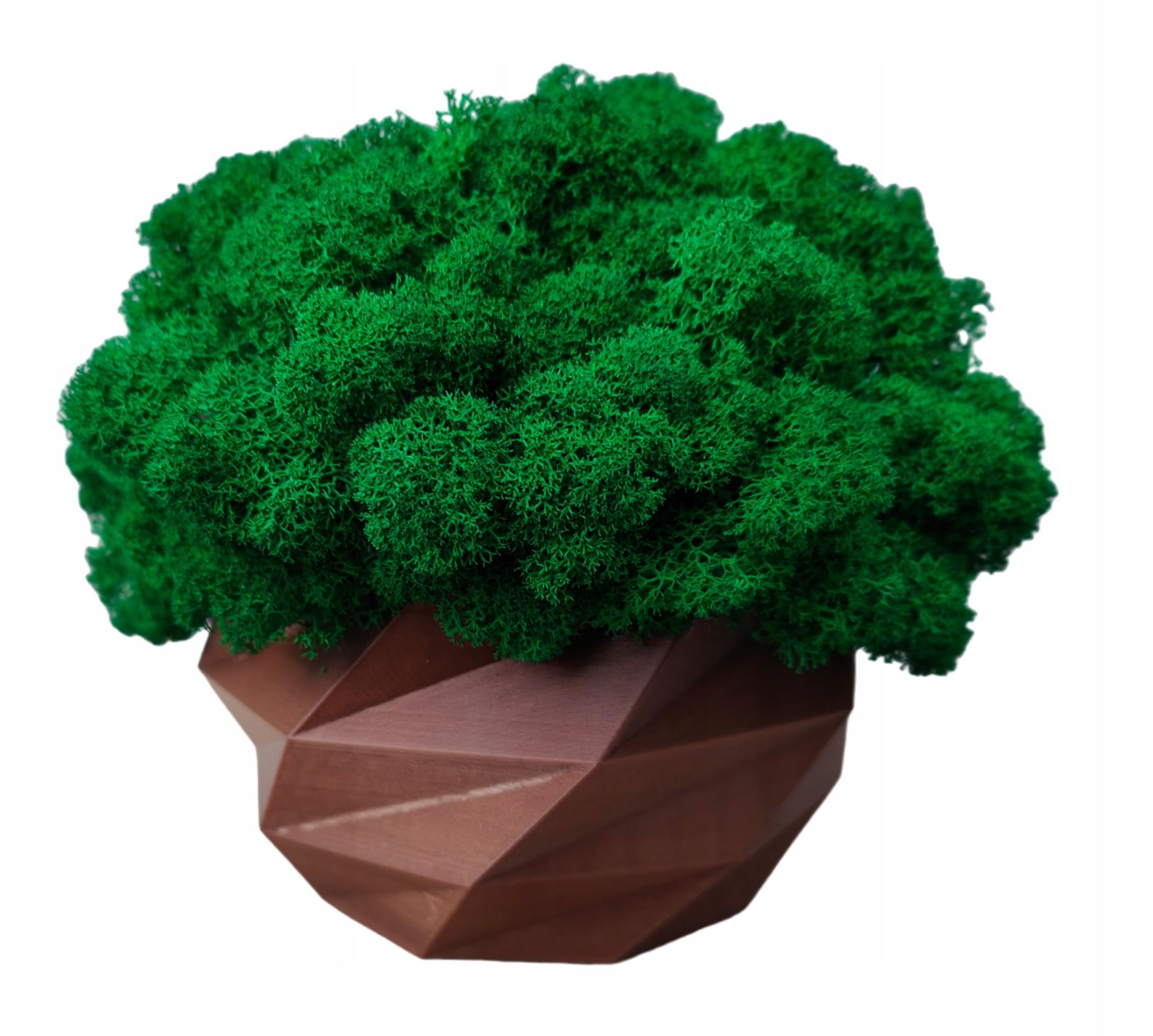  Puķu pods ar sūnām sūnas chrobotek katlā balts drukāšana 3d #4
