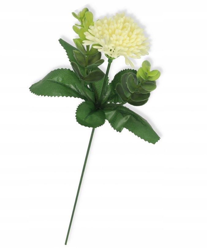  Garlic twig with eucalyptus appendix for bouquets compositions