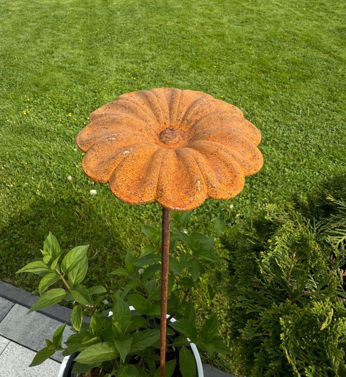  Adornment garden dragonfly rdzawa 3d corten rust sculpture discounts 90 cm