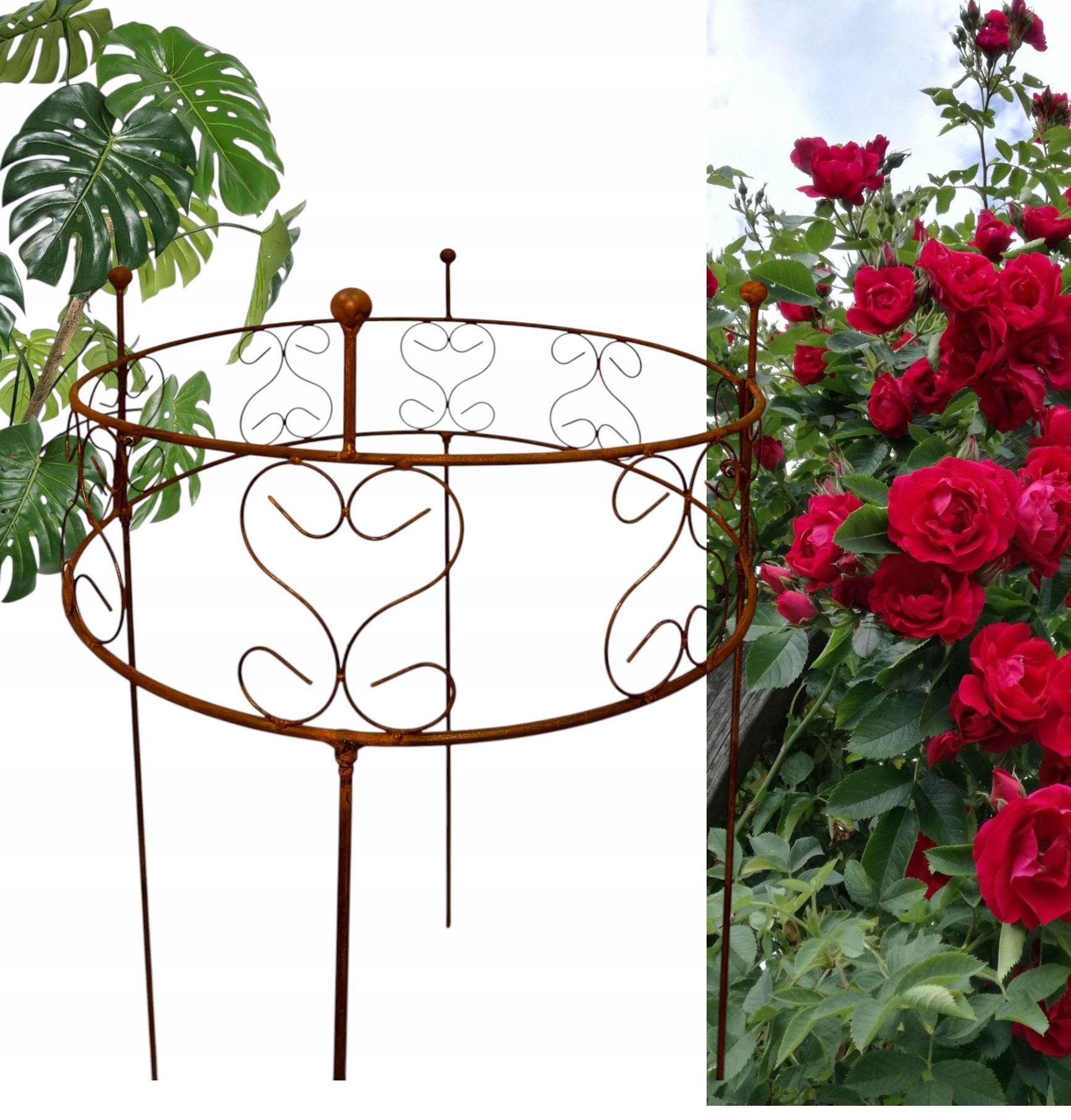  Support for bushes plants flower roses pergola 30/50cm single-seater semicircular