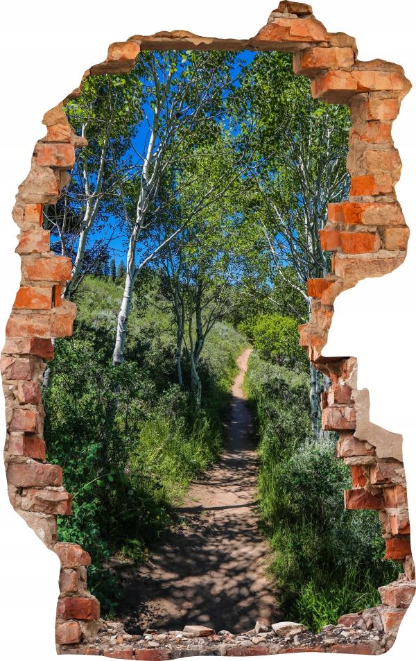  Sienas uzlīmes foto tapetes caurums 688 daba