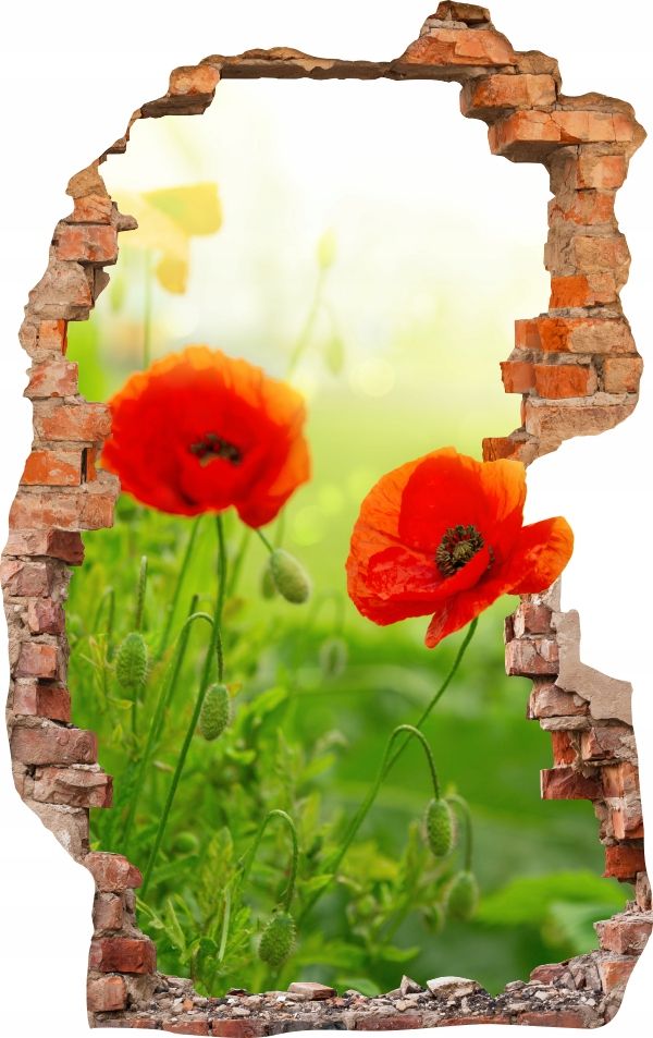  Sienas uzlīmes foto tapetes caurums 688 daba