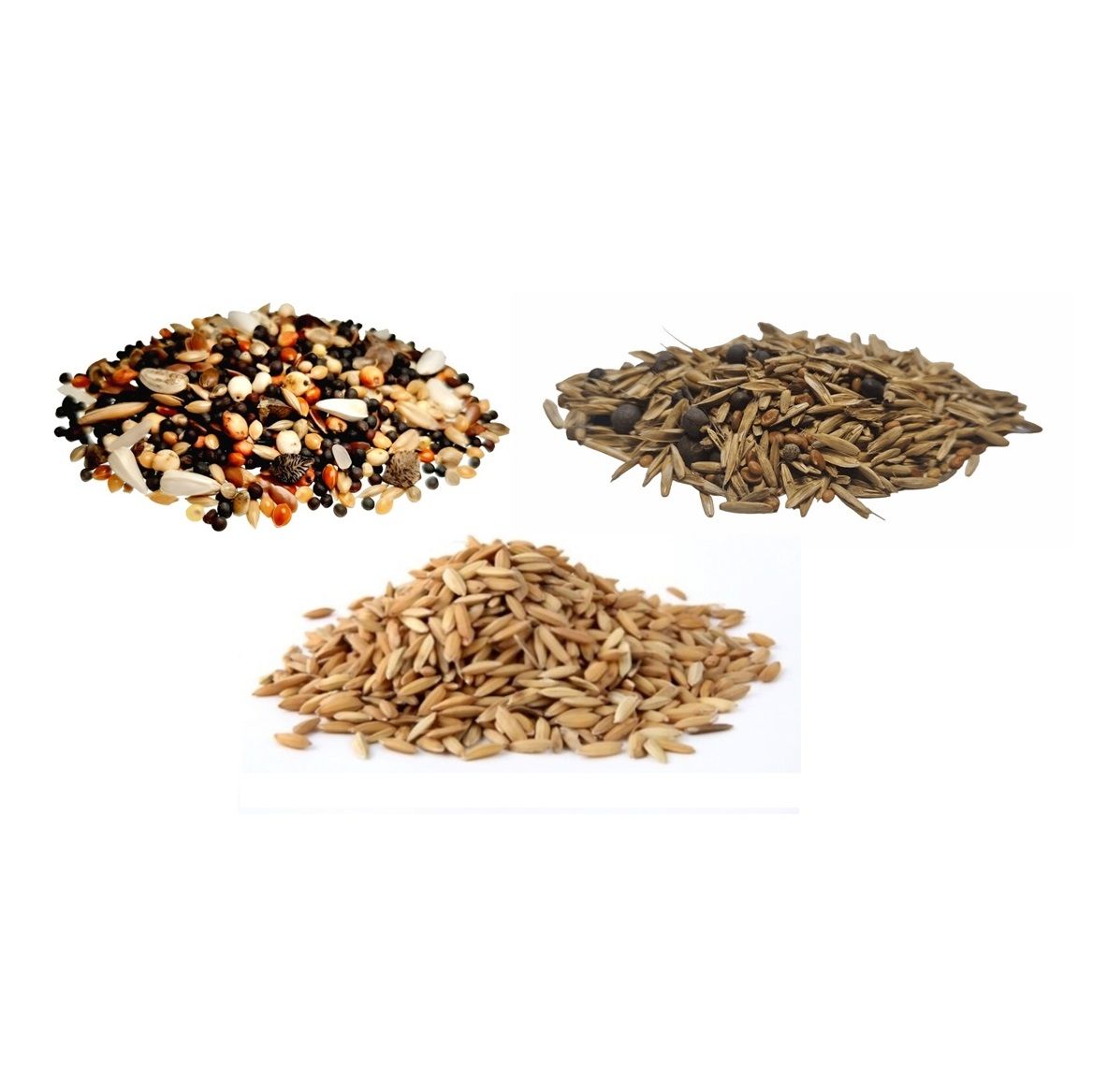  Semena mix dla messor 100 g. - jídlo mravenci anthunter
