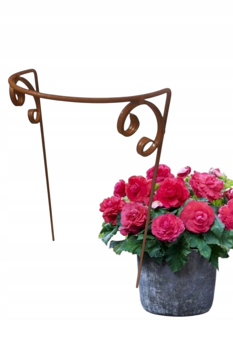  Support for bushes plants flower roses pergola 30/50cm single-seater semicircular