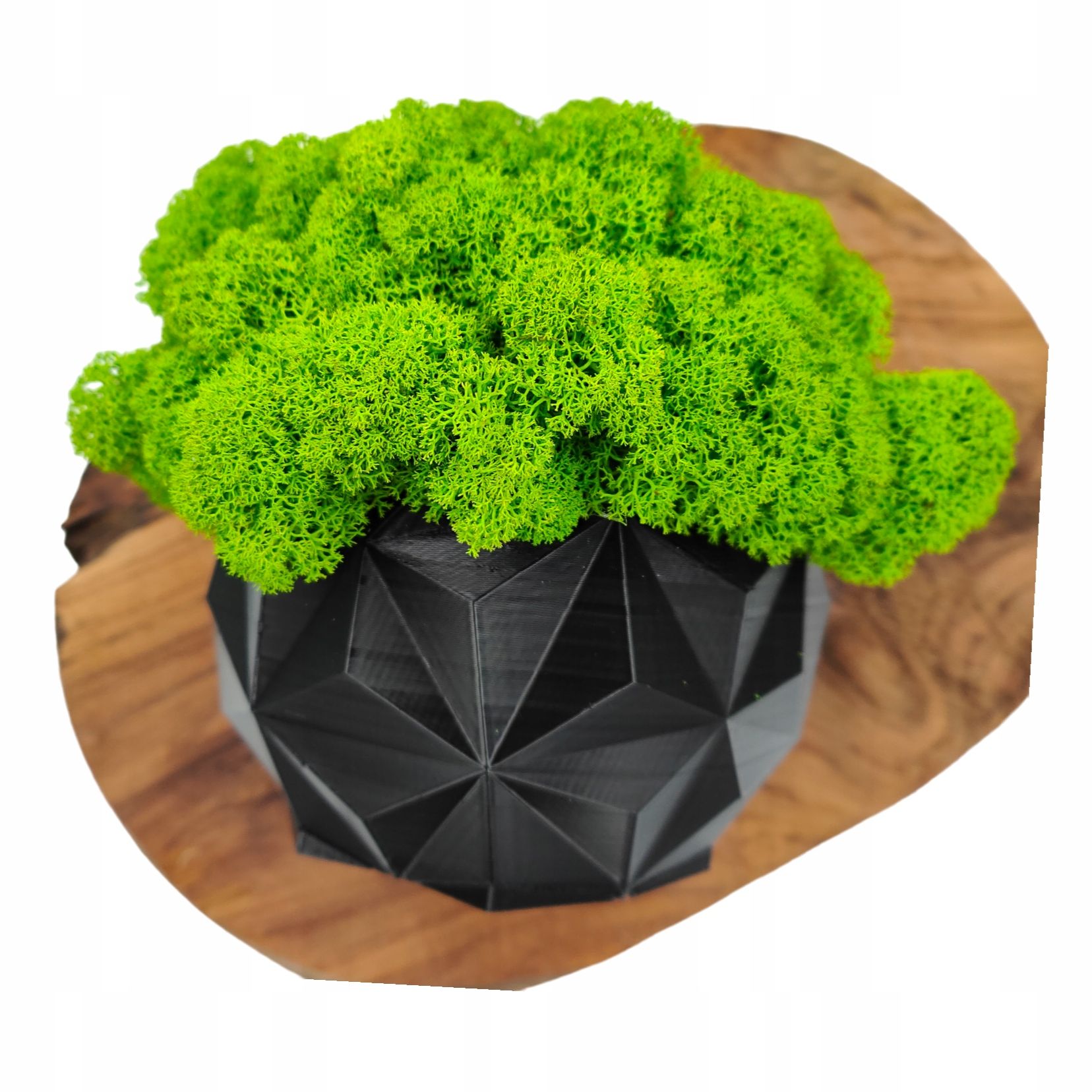  Puķu pods ar sūnām sūnas chrobotek katlā balts drukāšana 3d #4