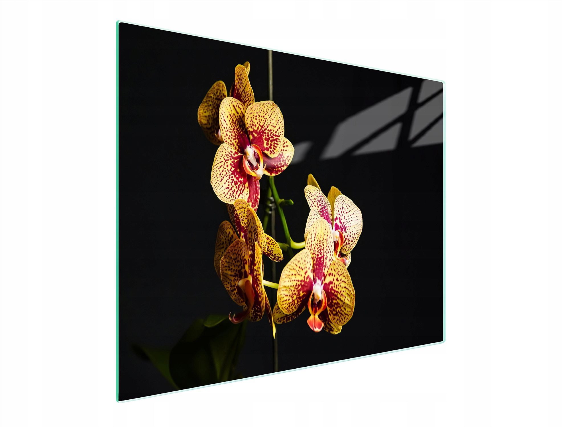  Stiklas pjaustymo lentelė 52x30 orchidėja grūdintas stiklas