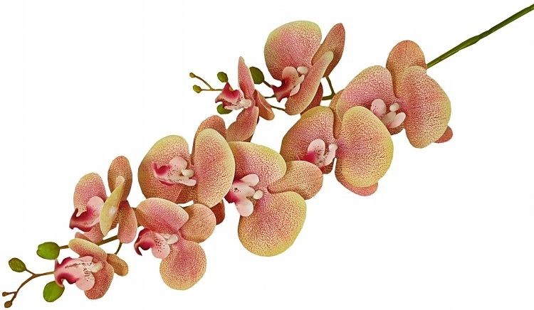  Orchid twig 20 flowers 76 cm rubber