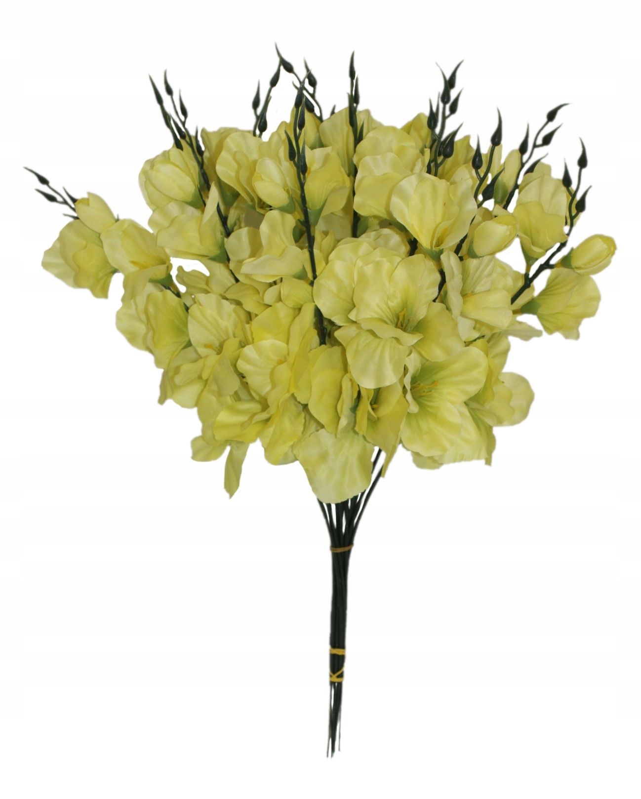  Mieczyk produktívny, vetvička, 55 cm, 12 počítač.