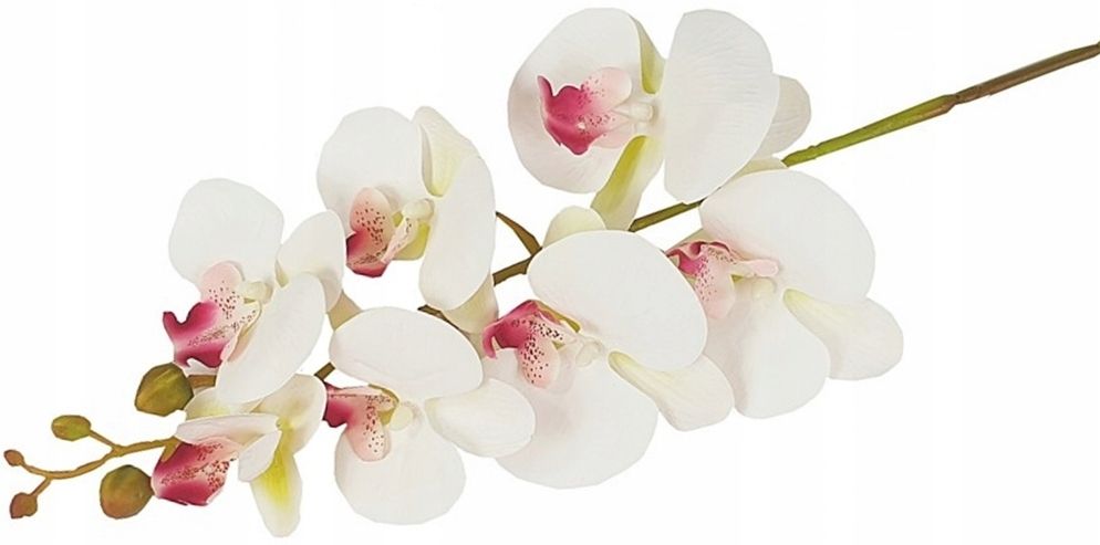  Orchid twig 20 flowers 76 cm rubber