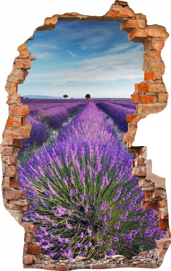  Sienas uzlīmes foto tapetes caurums 688 daba