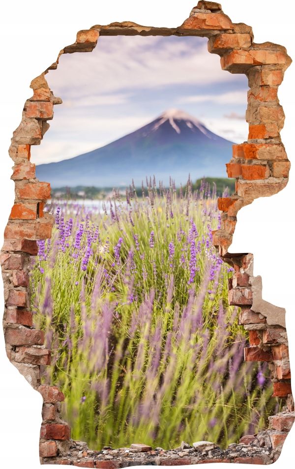  Sienas uzlīmes foto tapetes caurums 688 daba