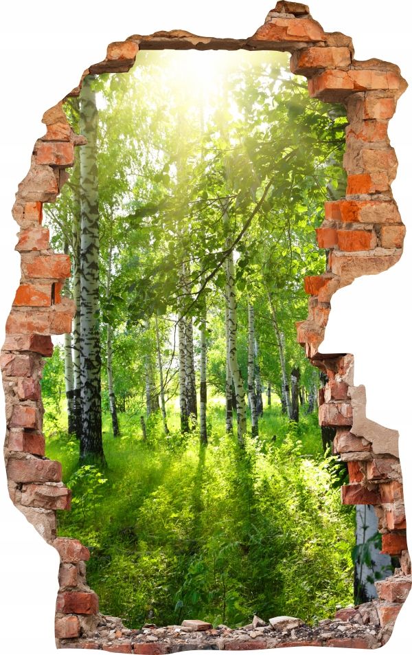  Sienas uzlīmes foto tapetes caurums 688 daba