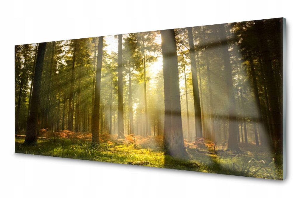  Lacobel glasplatte küche lilien wasser 140x70