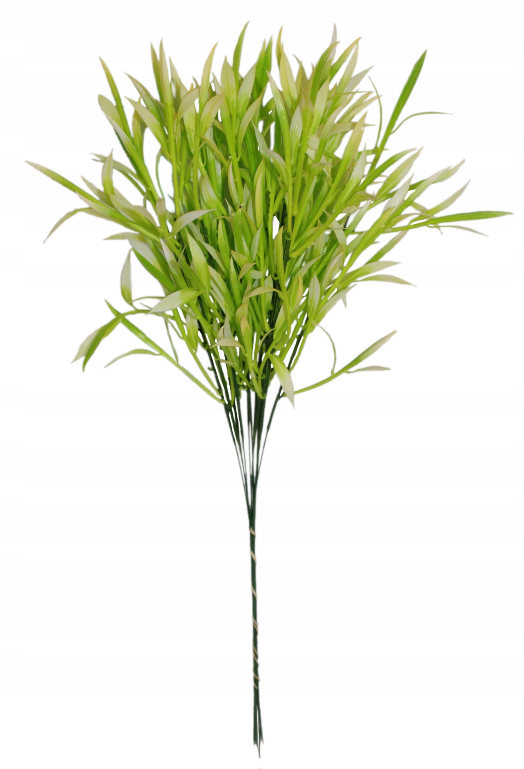  Zāle krāšņs blīvs zars 60 cm, 12 datoriem.