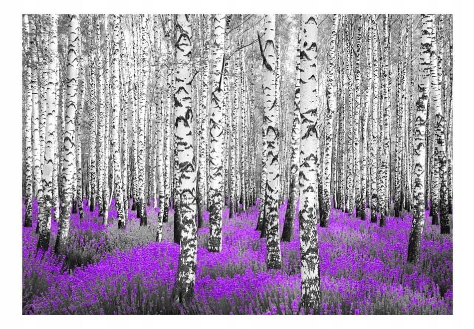  Photo wallpapers - uscisk trees - 150x105