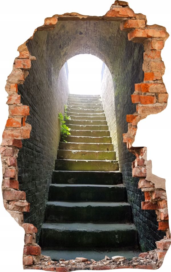  Sienas uzlīmes foto tapetes caurums 688 daba