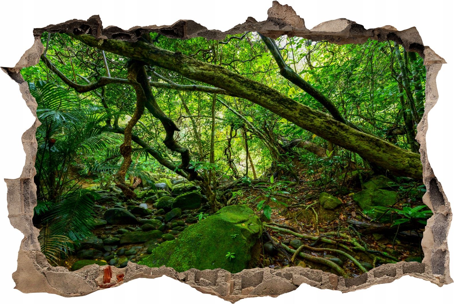  Fototapeedid auk 3d seinakleebis wodospady potok mets loodus