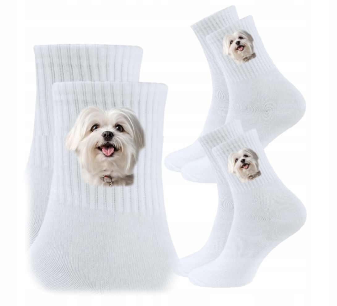  3x socken psiak hund hündchen hunde geschenk - york yorkshire