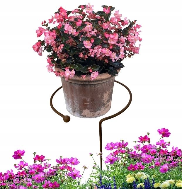  Support for bushes plants flower roses pergola 30/50cm single-seater semicircular