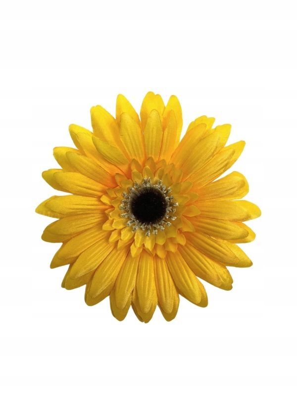  Gerbera lielu galva 16 cm lillā