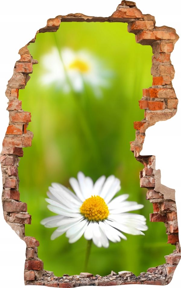  Sienas uzlīmes foto tapetes caurums 688 daba