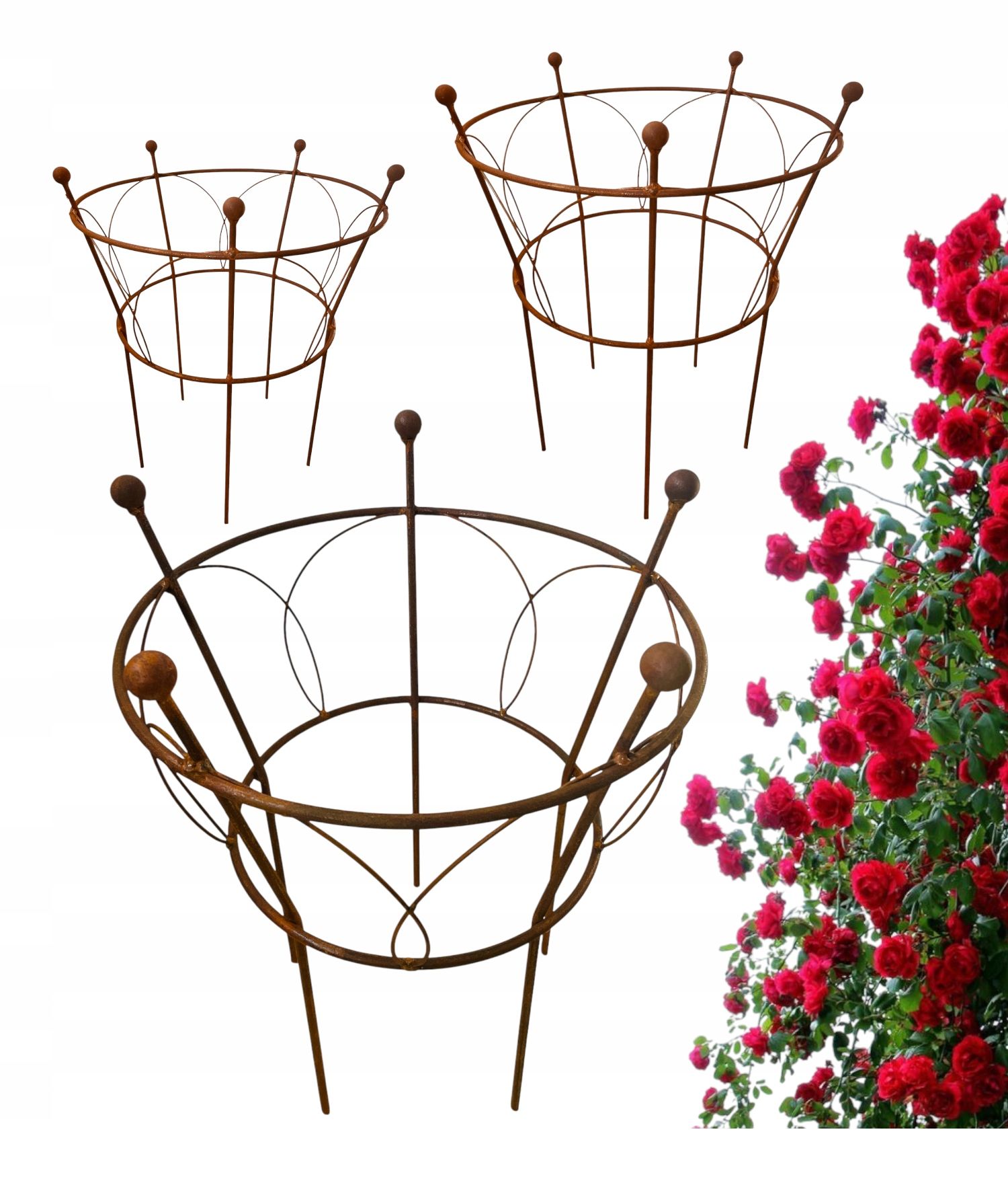  Support for bushes plants flower roses pergola 30/50cm single-seater semicircular
