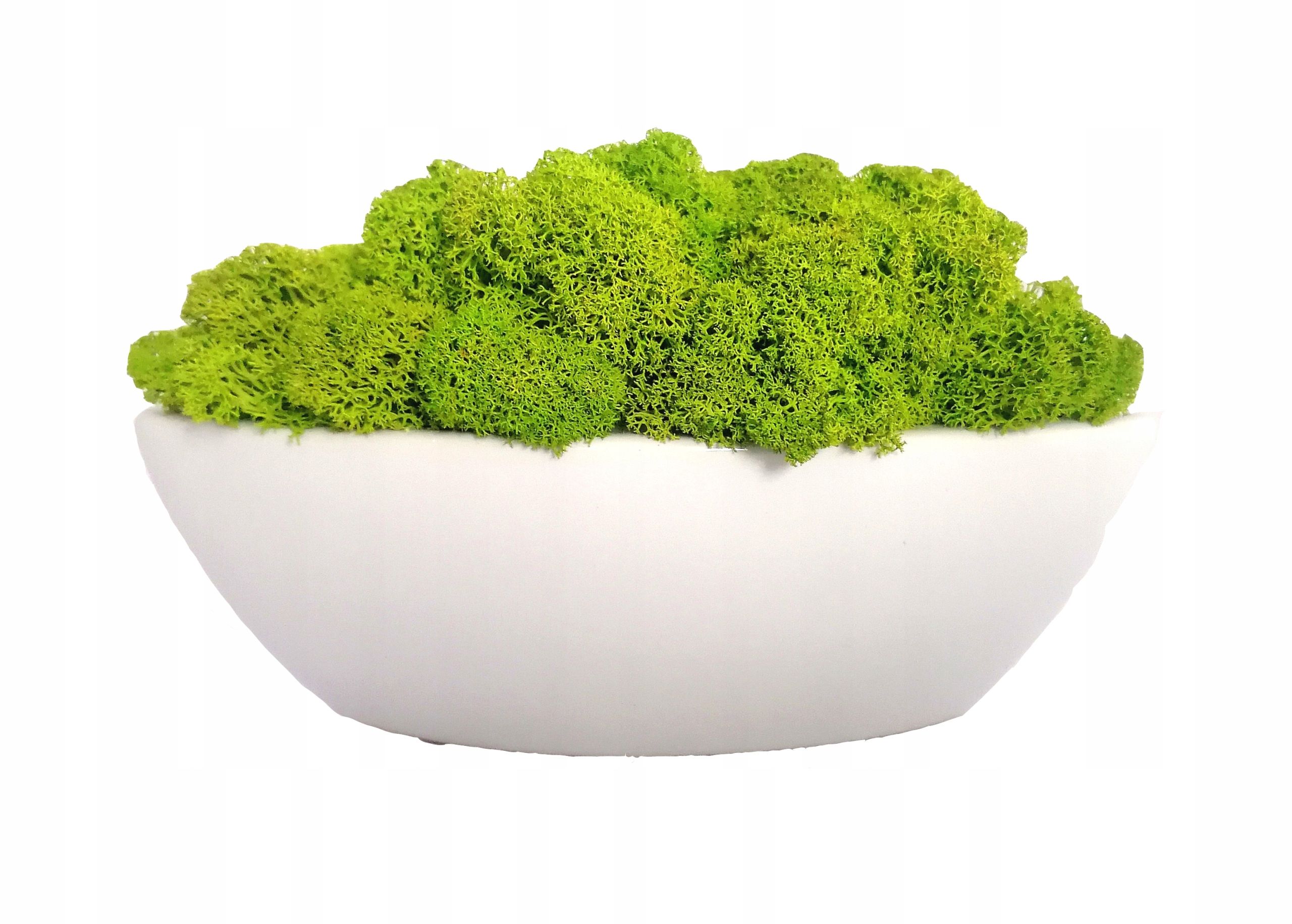  Flowerpot boat with moss, day grandma