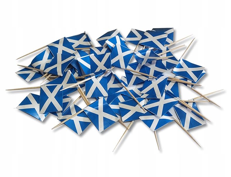 Toothpicks piers flags slovakia slowacji 20 pcs.