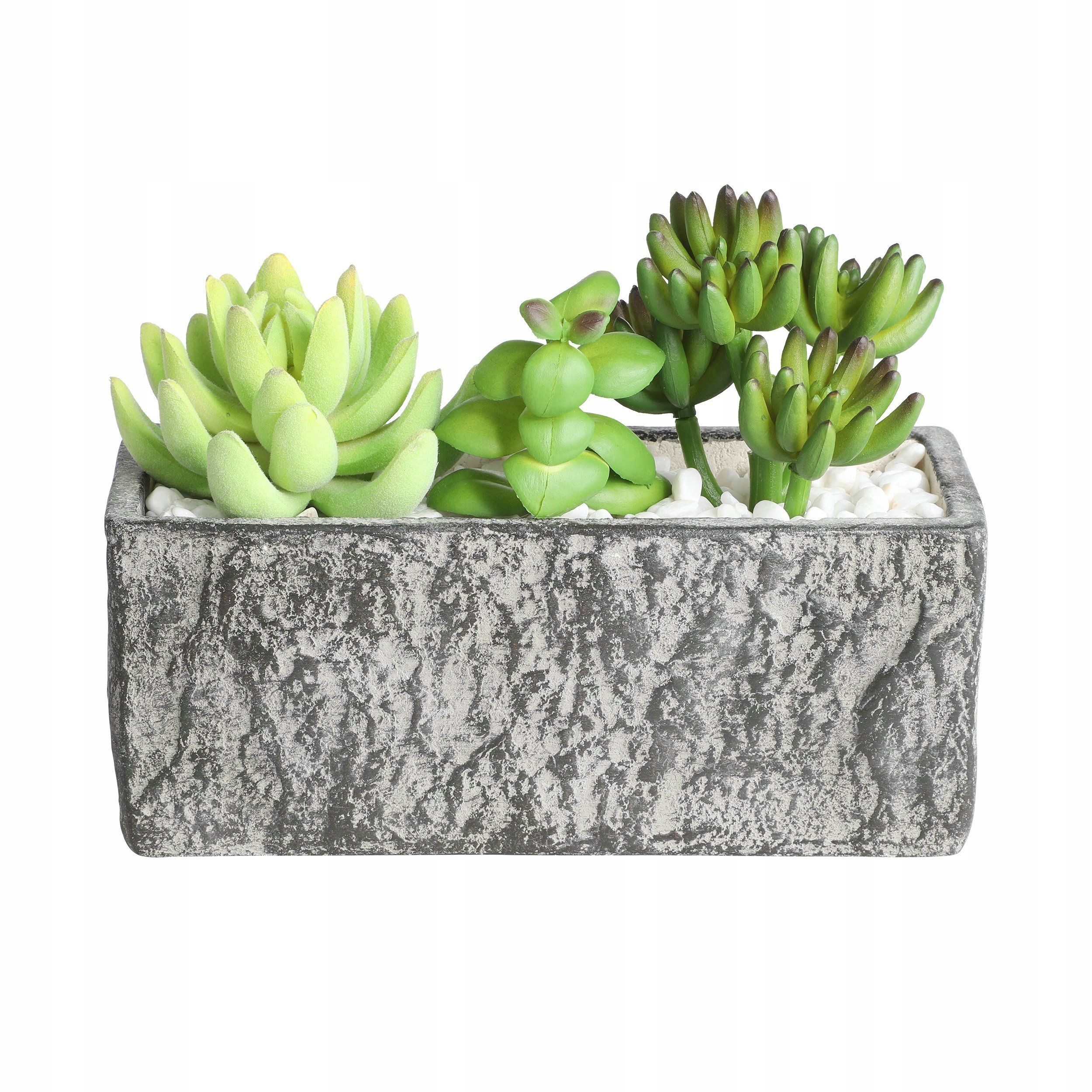  Mākslīgais augs sulīgs katlā eglo living