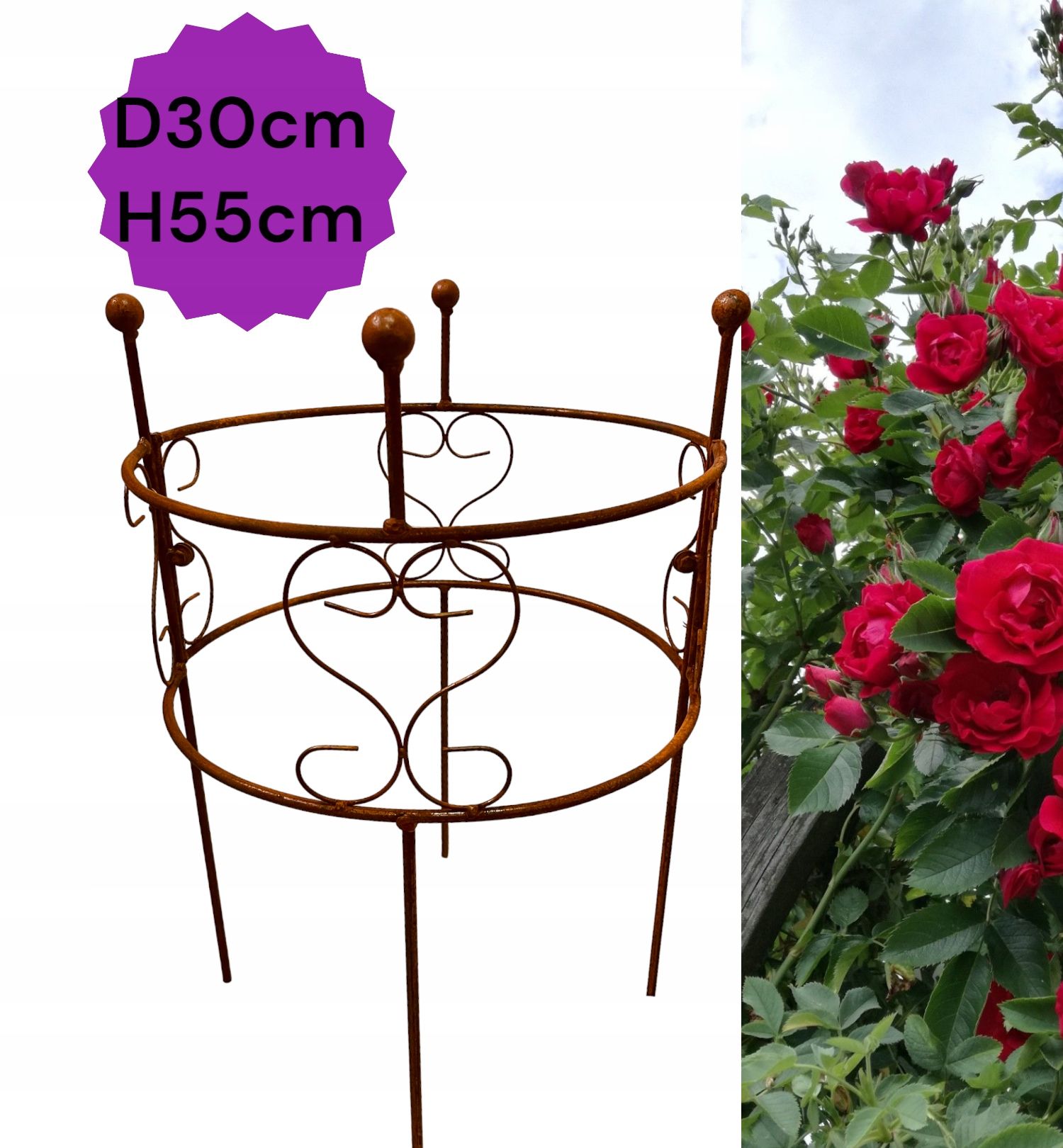  Support for bushes plants flower roses pergola 30/50cm single-seater semicircular