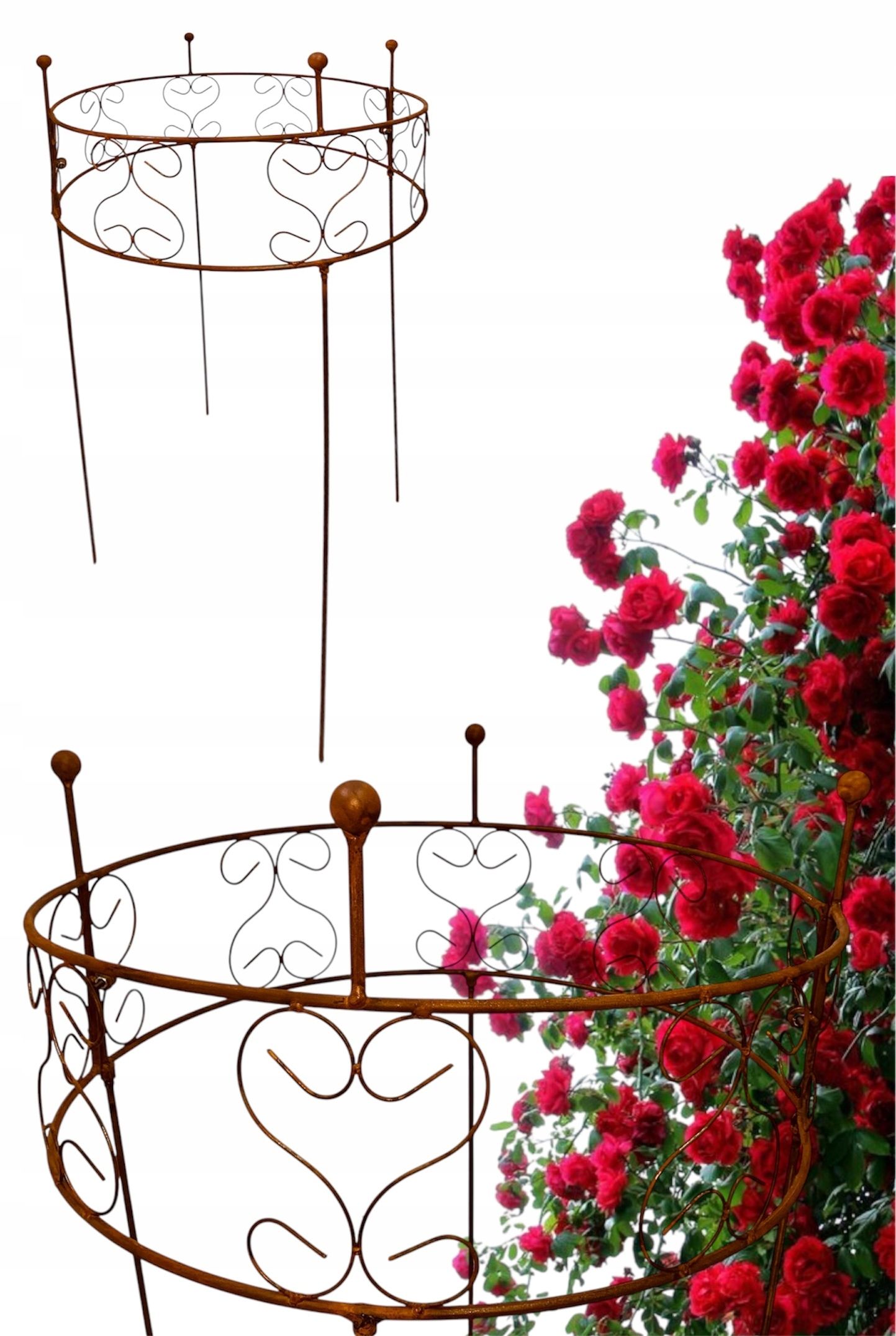  Support for bushes plants flower roses pergola 30/50cm single-seater semicircular