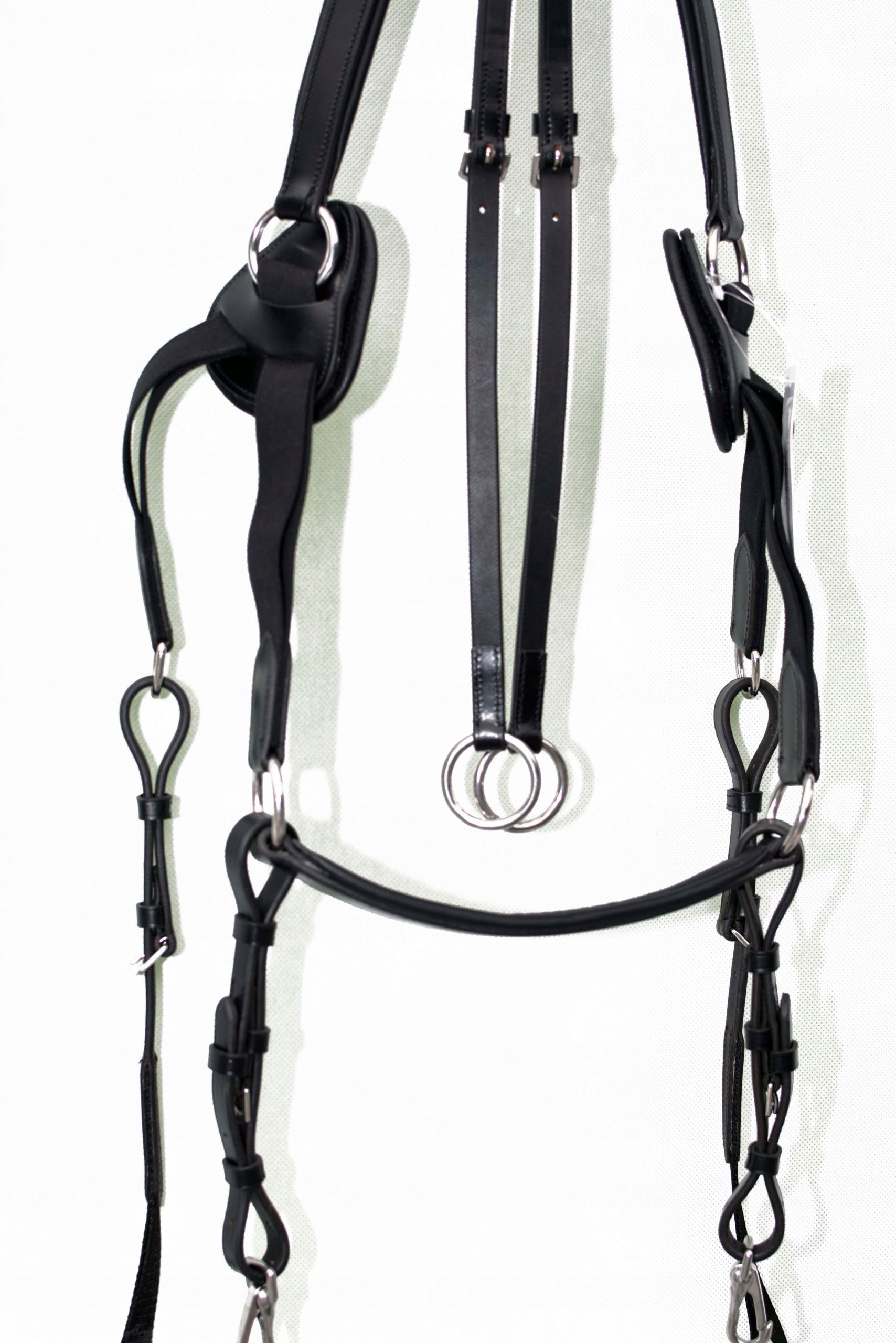  Breastplate with martingale 5-pkt size cob