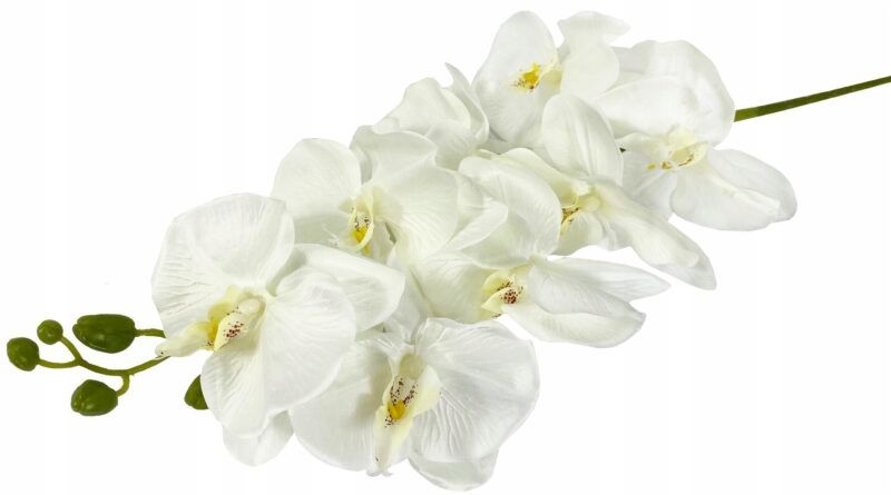  Orchid twig 20 flowers 76 cm rubber