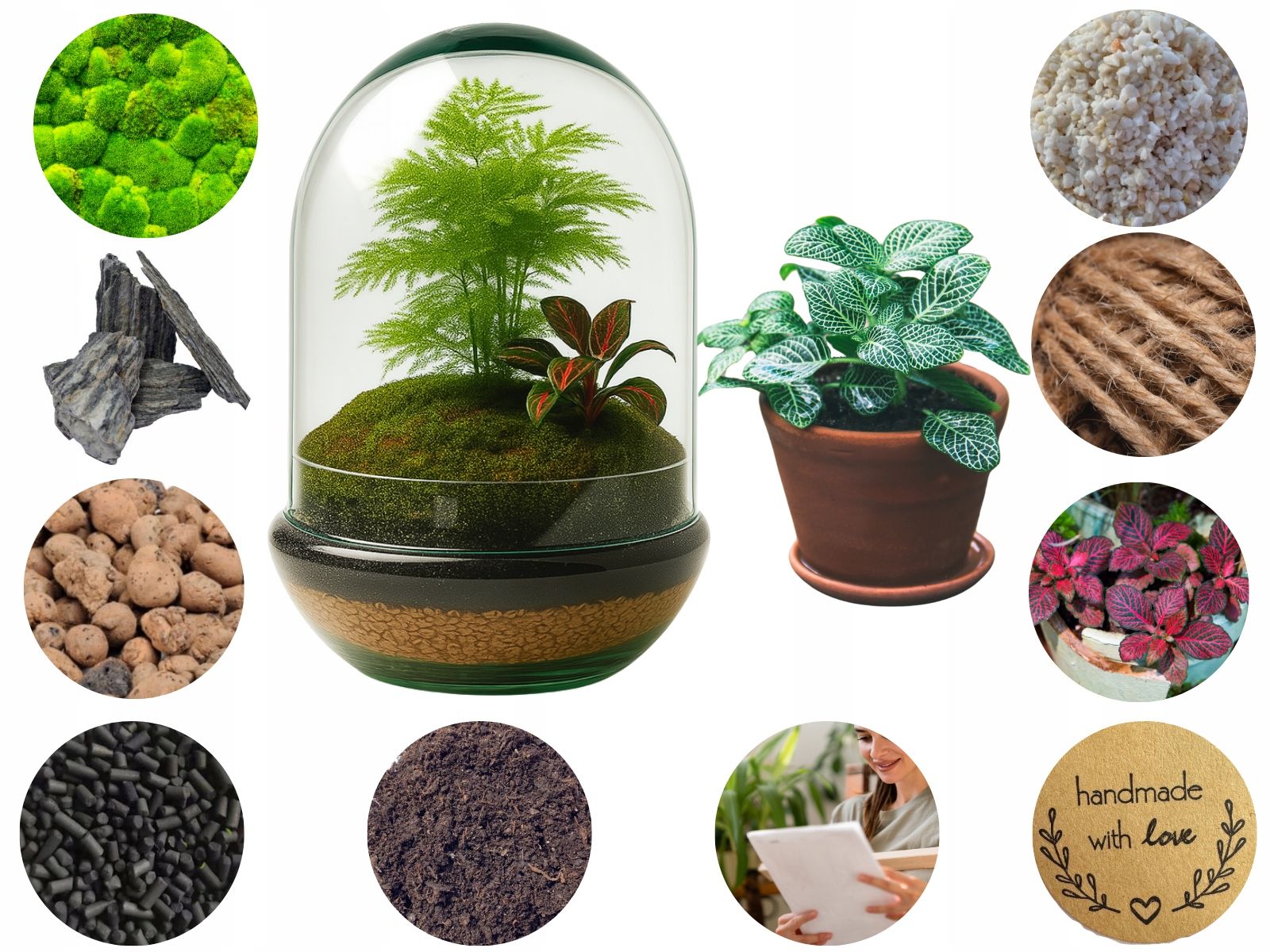  Moss chrobotek light green to the forest in a glass jar in glass decoration 10g