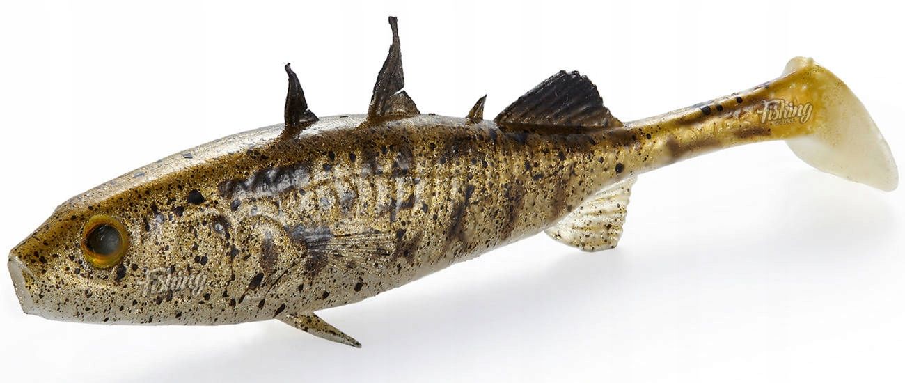  Guma westin stanley the stickleback spawning 5,5