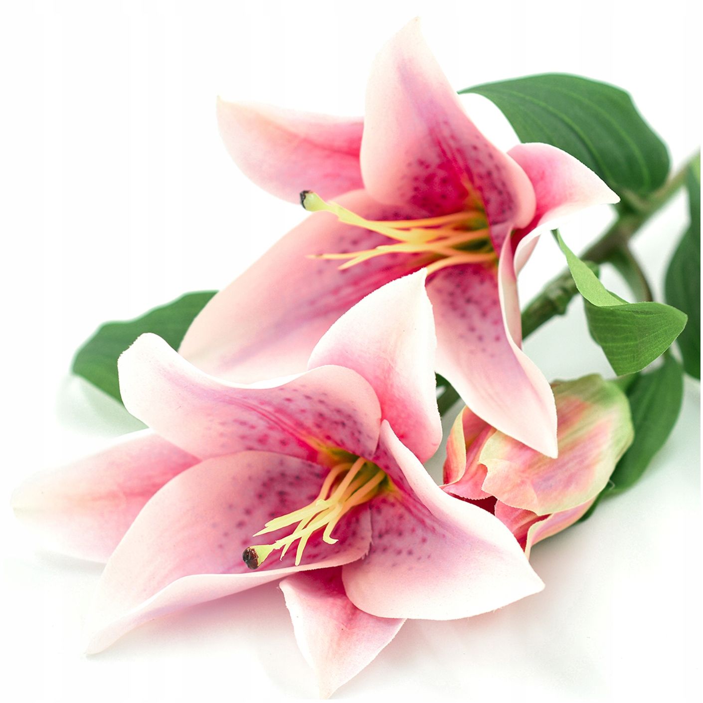 Zweig gipsowki bündeln kleine blumen in krone anhang zur krone premium
