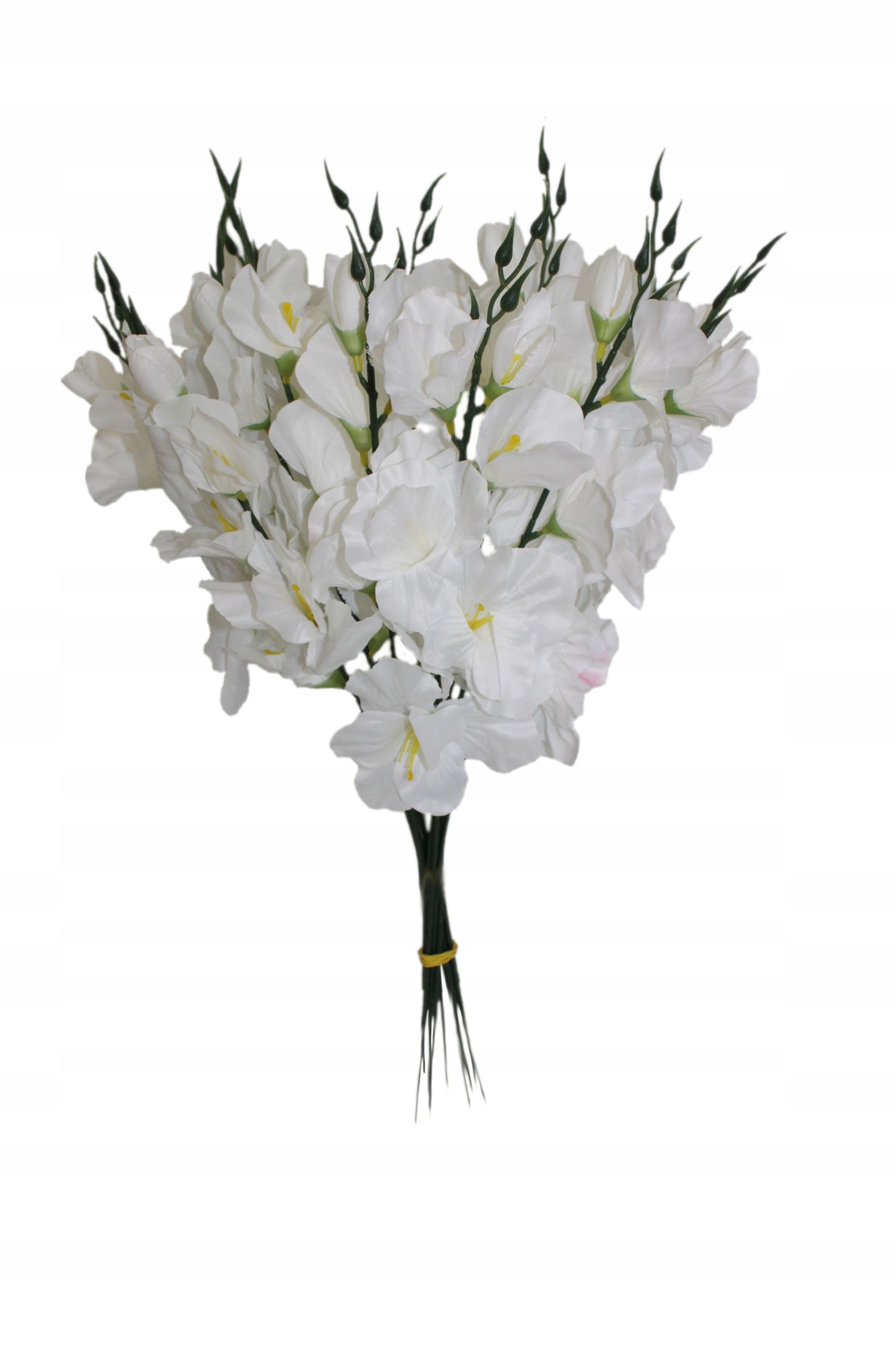  Mieczyk produktívny, vetvička, 55 cm, 12 počítač.