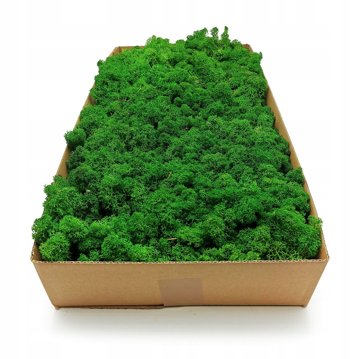  Samanos chrobotek alpių 500g
