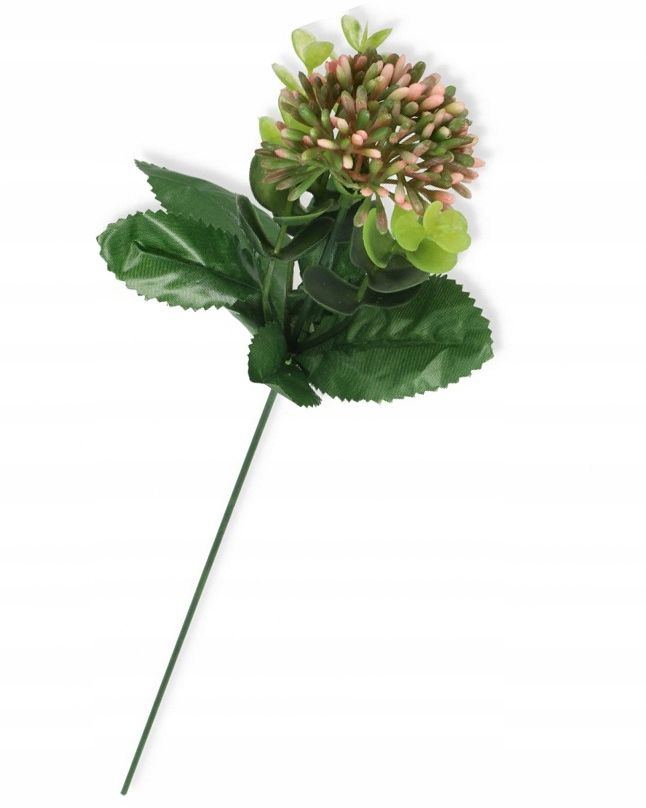  Garlic twig with eucalyptus appendix for bouquets compositions