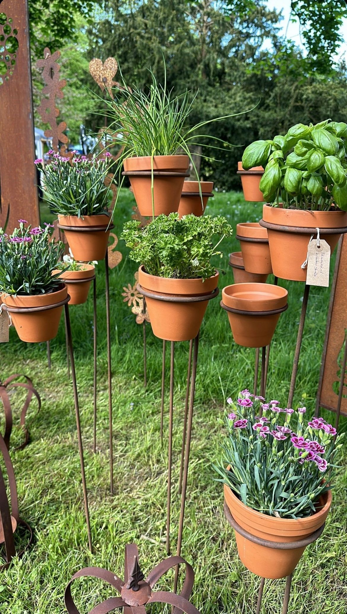  Support for bushes plants flower roses pergola 30/50cm single-seater semicircular