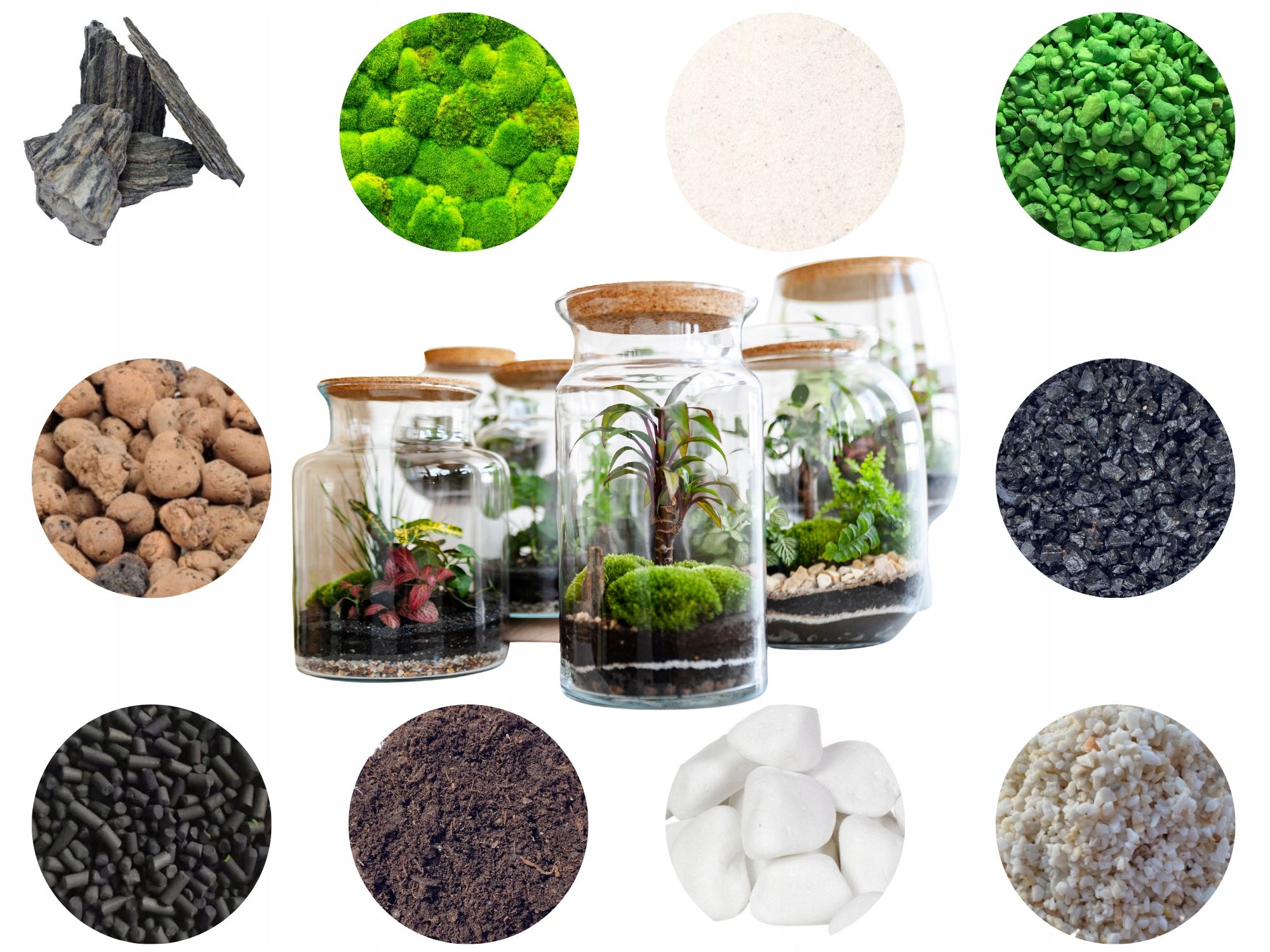  Moss chrobotek light green to the forest in a glass jar in glass decoration 10g