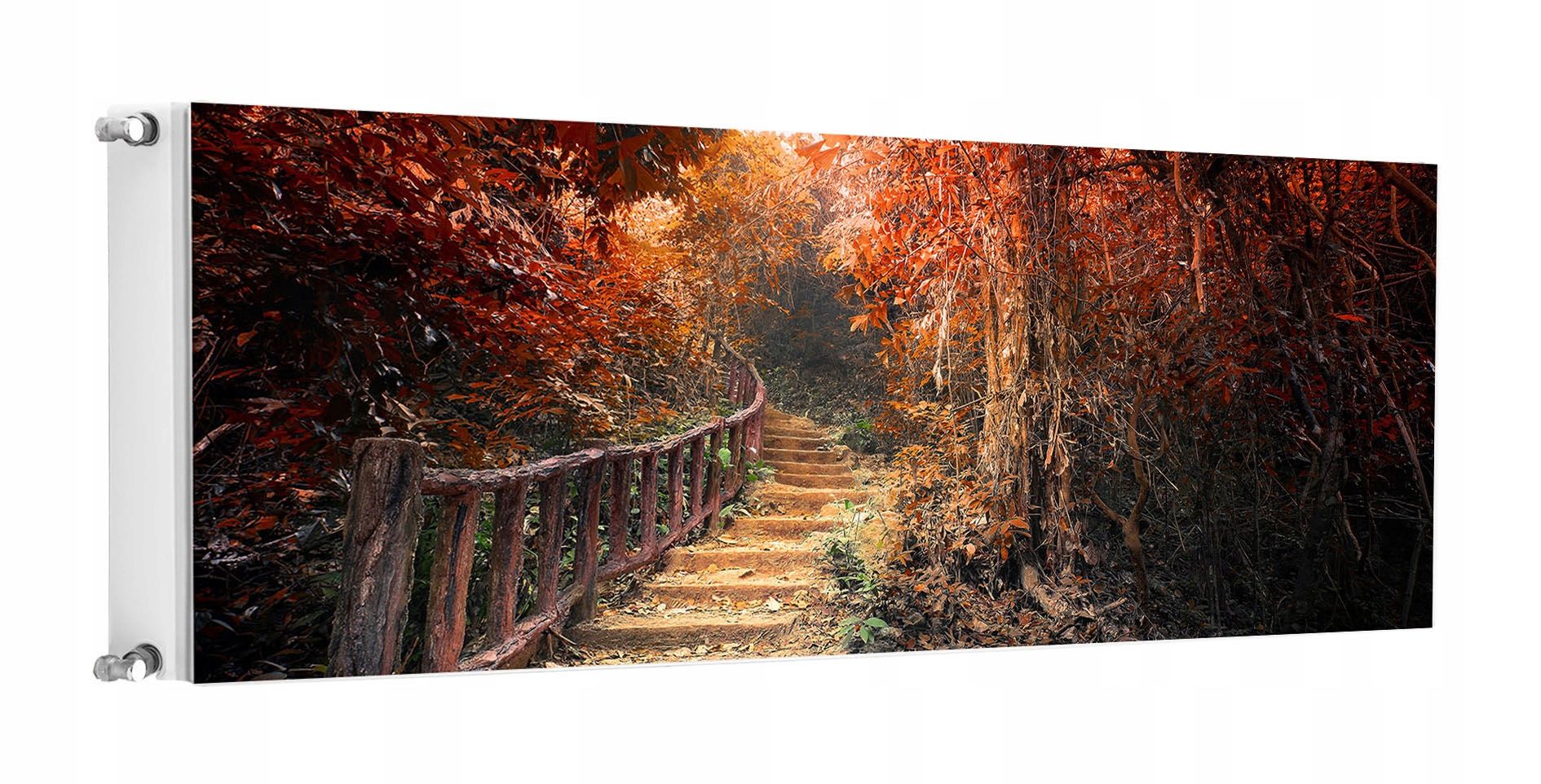  Magnetinis kilimėlis ant radiatoriaus 120x60 kraštovaizdis fototapetai