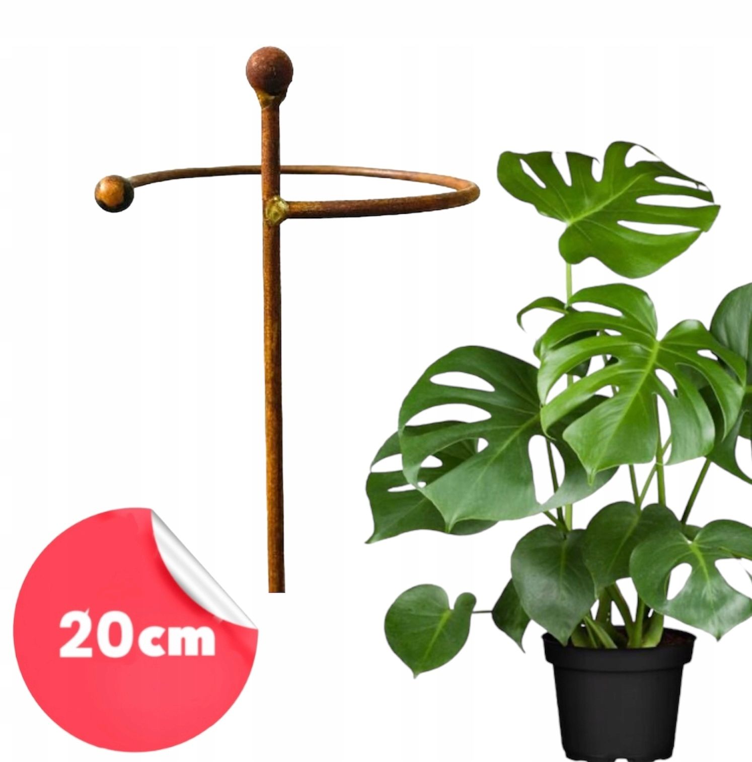  Support for bushes plants flower roses pergola 30/50cm single-seater semicircular