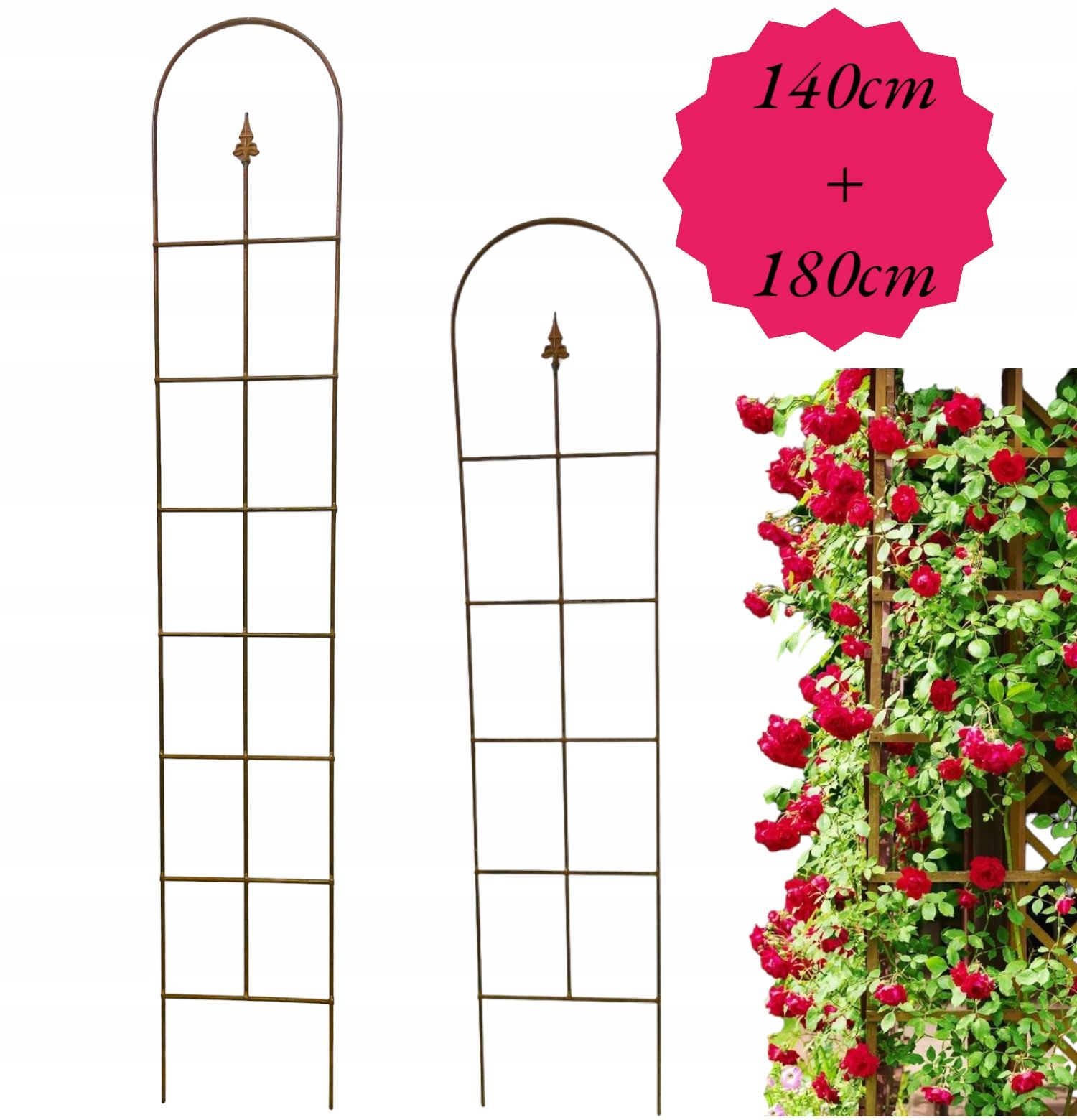  Support for bushes plants flower roses pergola 30/50cm single-seater semicircular