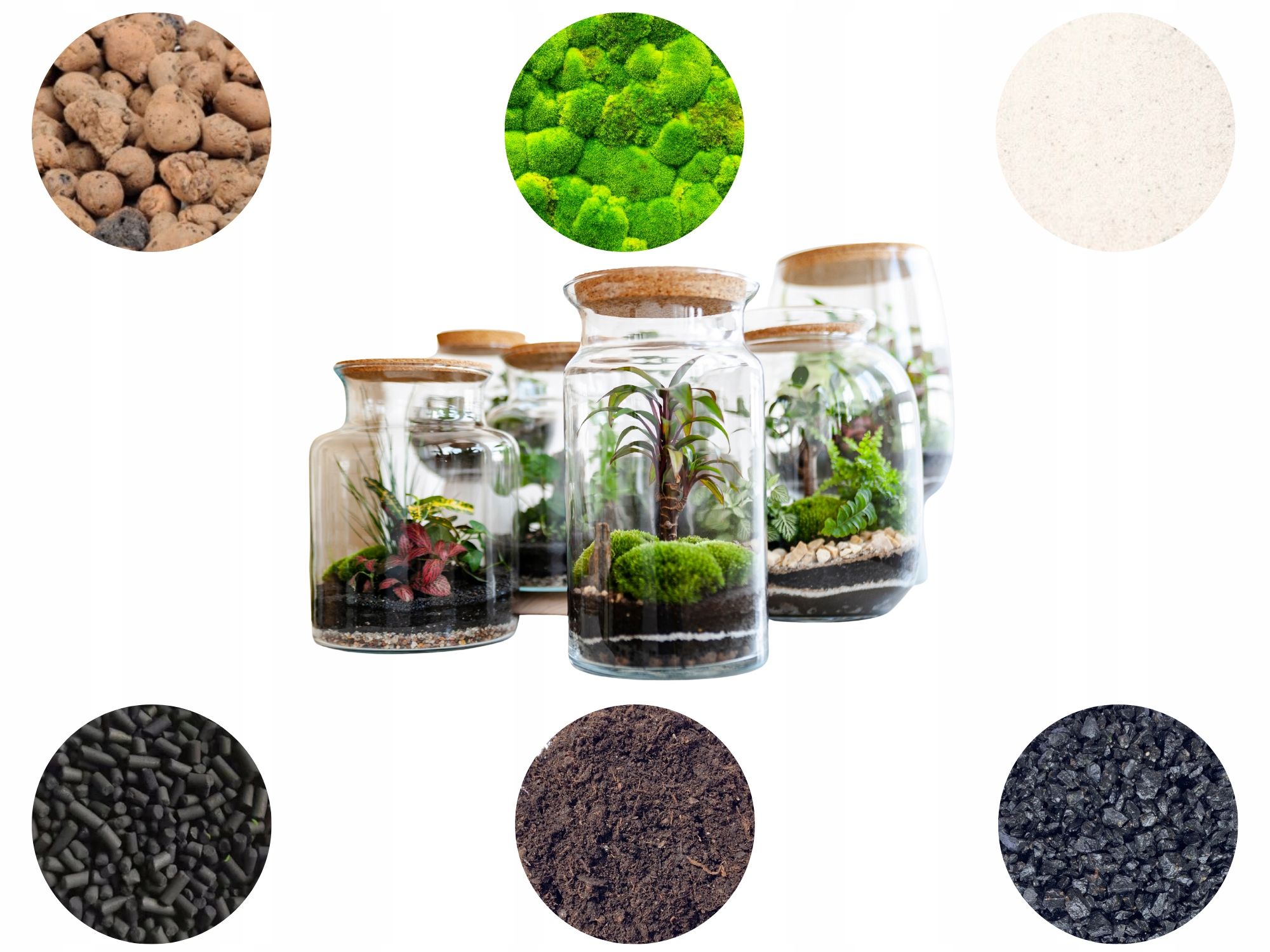  Moss chrobotek light green to the forest in a glass jar in glass decoration 10g