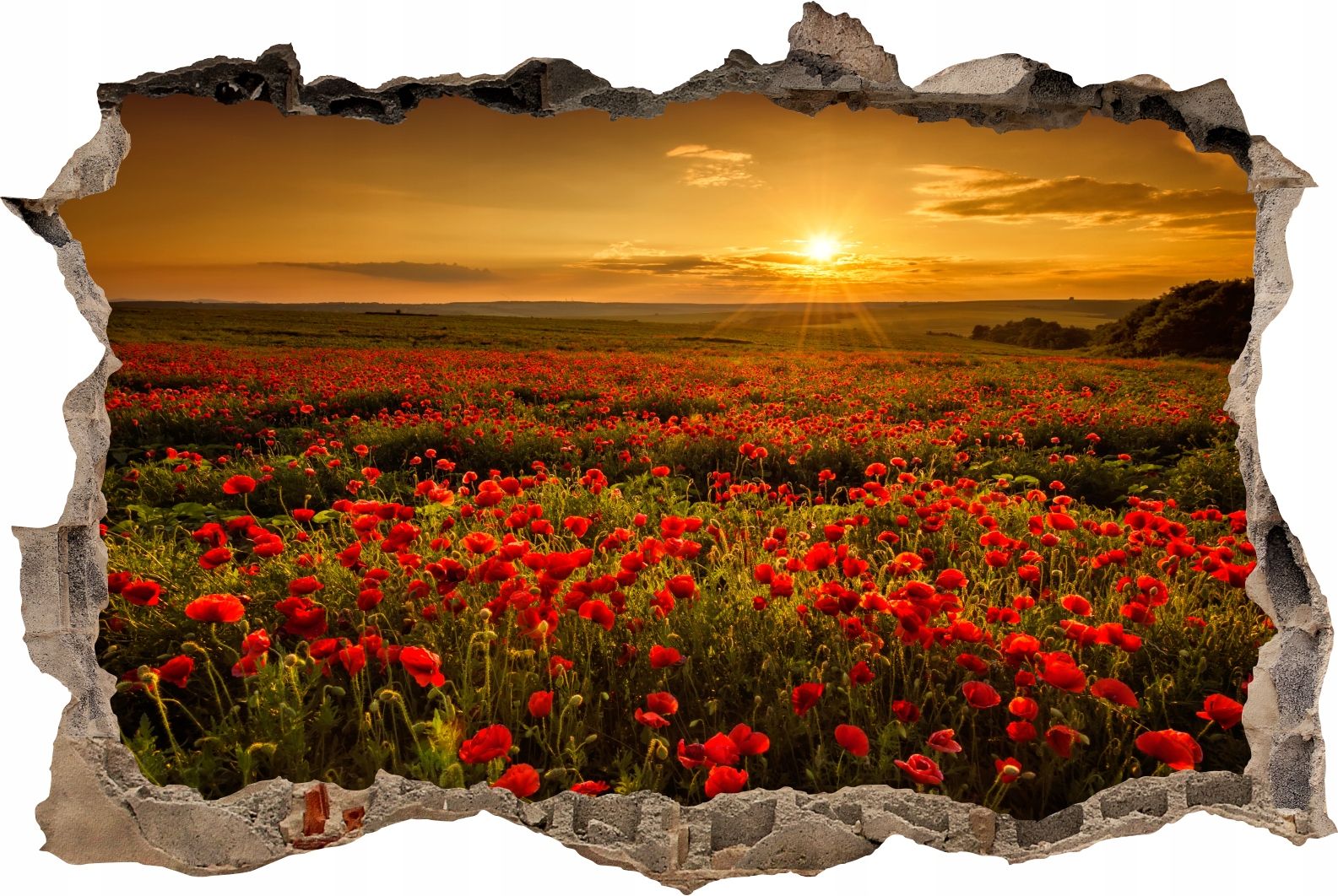  Fototapeedid auk 3d seinakleebis wodospady potok mets loodus