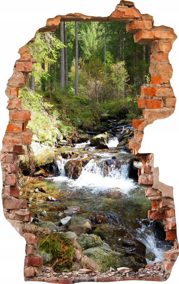  Sienas uzlīmes foto tapetes caurums 688 daba