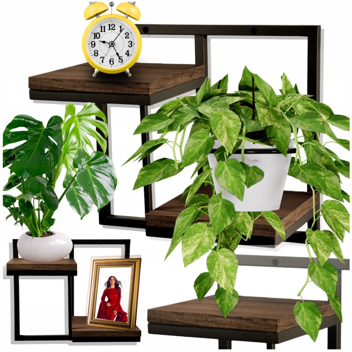  Hanging shelf wall-mounted two-tier flower stand industrial style on the wall salon
